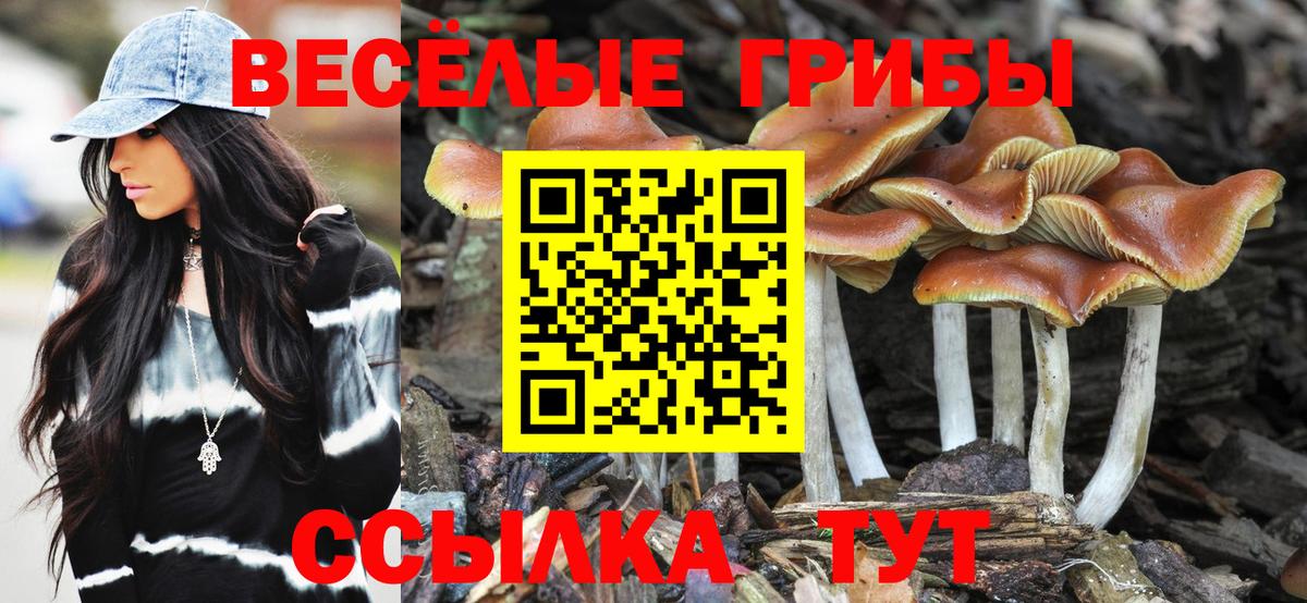 Иваново  Галлюциногенные грибы Cubensis  Вход с VPN 