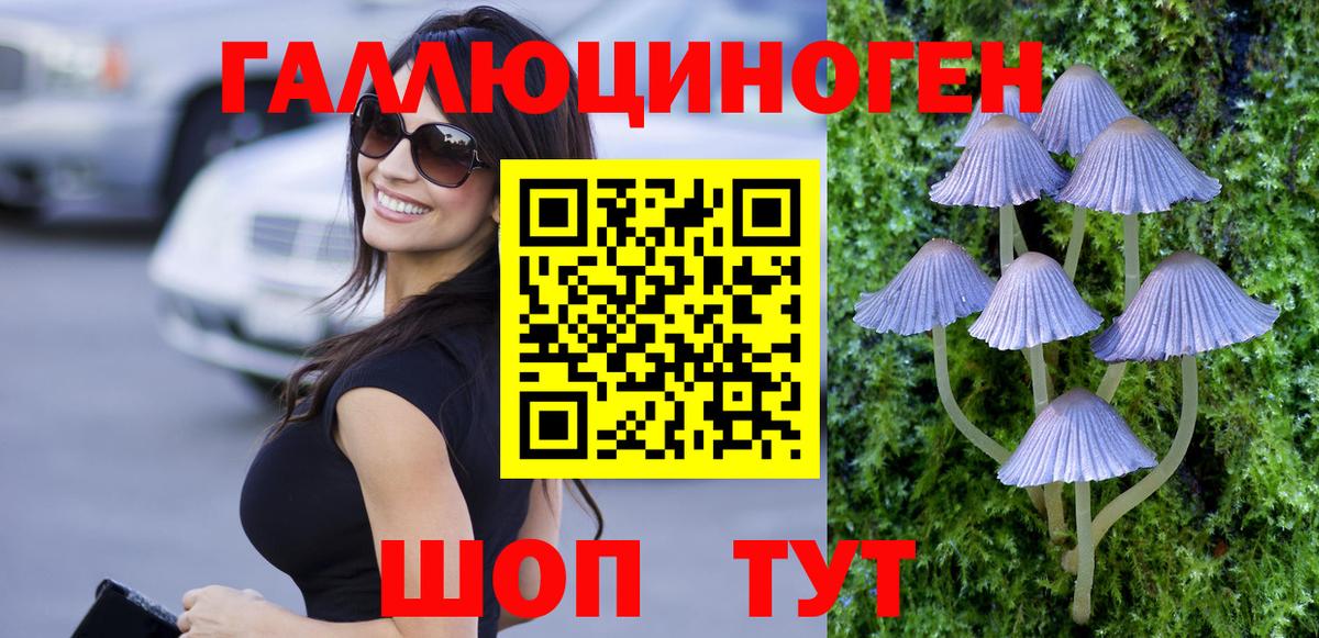 Галлюциногенные грибы Psilocybe Иваново